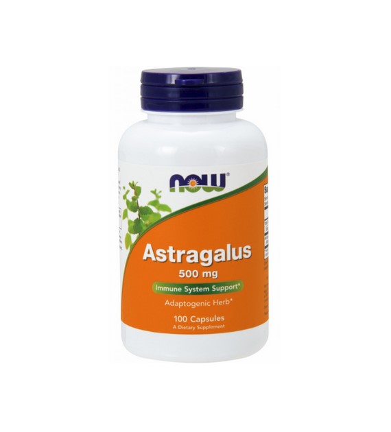 Astragalus (Traganek) 500mg 100 kaps.