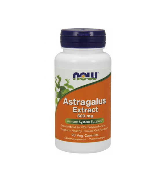 Astragalus Extract 500mg 90 kaps.