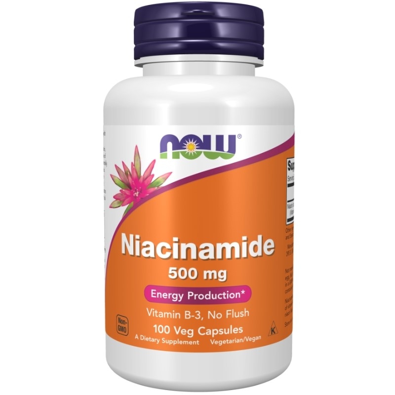 Niacinamide (Amid kwasu nikotynowego) 500mg 100 kaps.