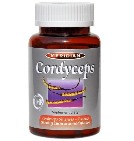 Cordyceps 300mg 60 kaps.