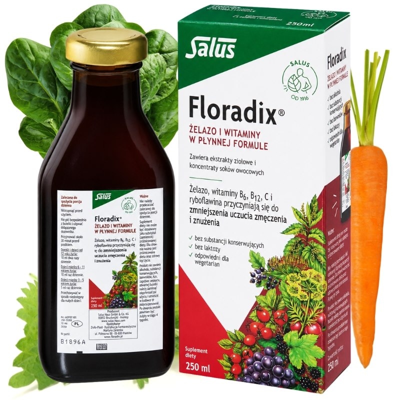 Floradix Żelazo i Witaminy Tonik 250 ml